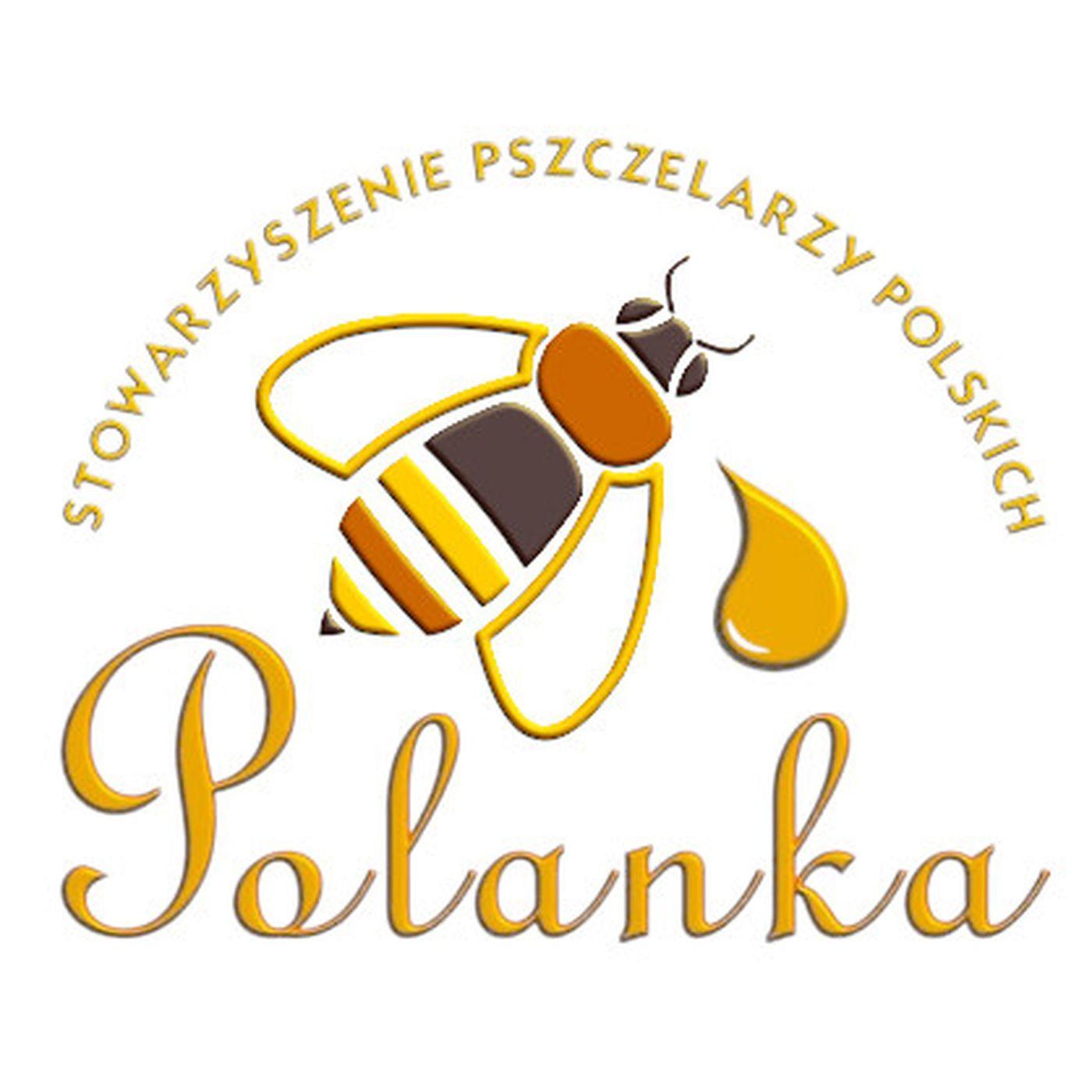 https://warroza.pl/media/files/pszczele-wiesci_feed.jpg