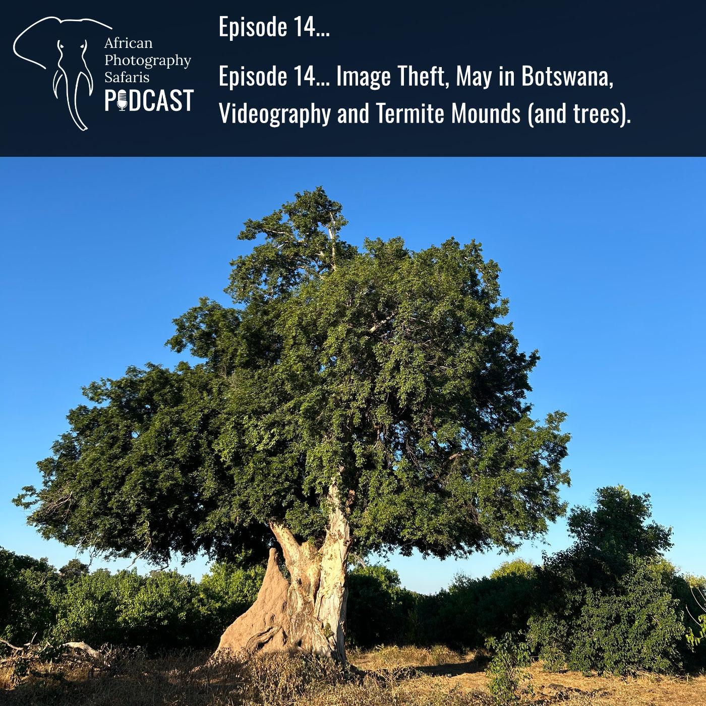 https://www.africanphotographysafaris.com/wp-content/uploads/2025/07/Episode14-image.jpg