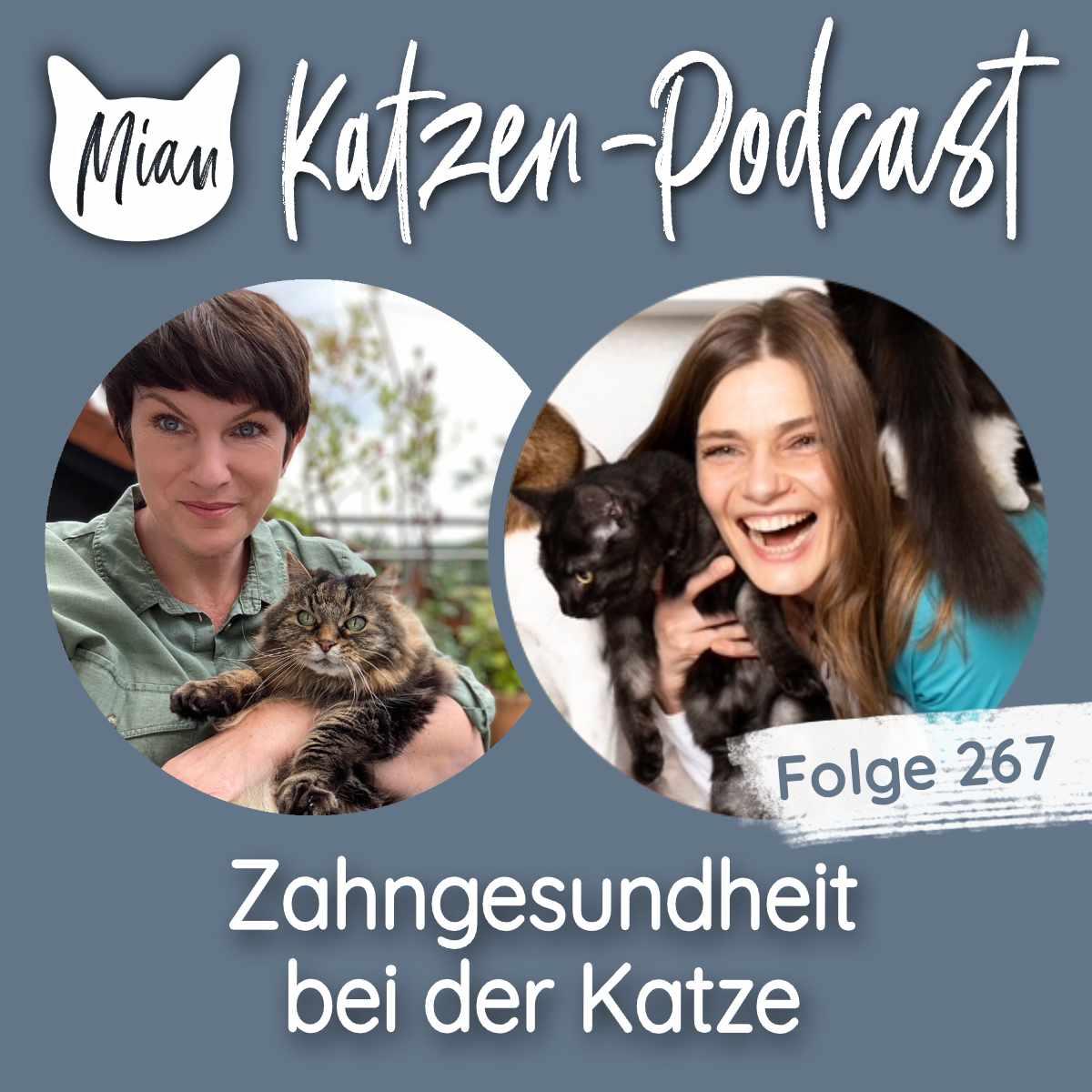https://www.katzen-leben.de/wp-content/uploads/2025/09/1200x1200_Podcast-Episode_267.jpg