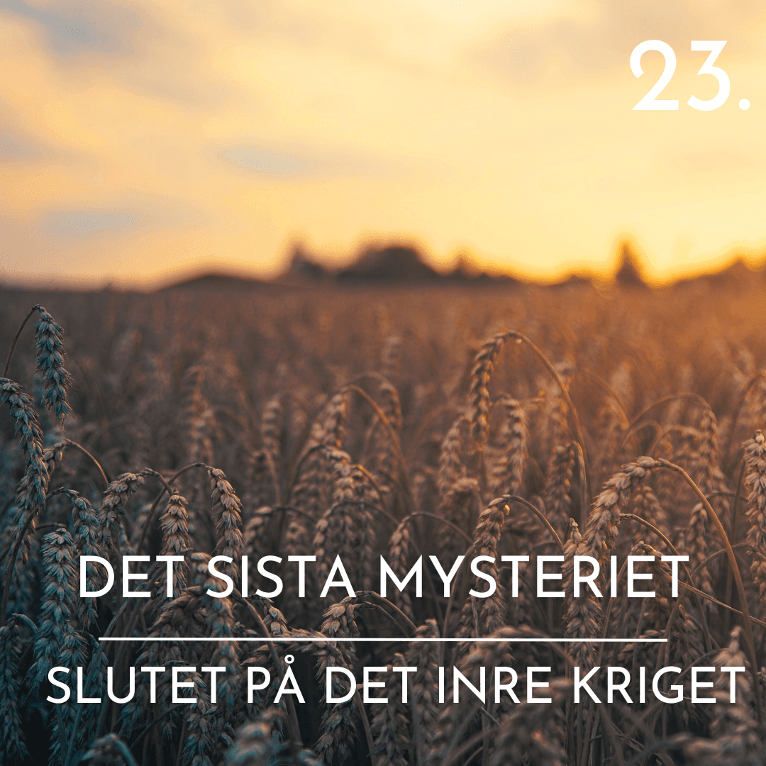 https://www.myterochmysterier.se/wp-content/uploads/2025/09/DSM23-1.png