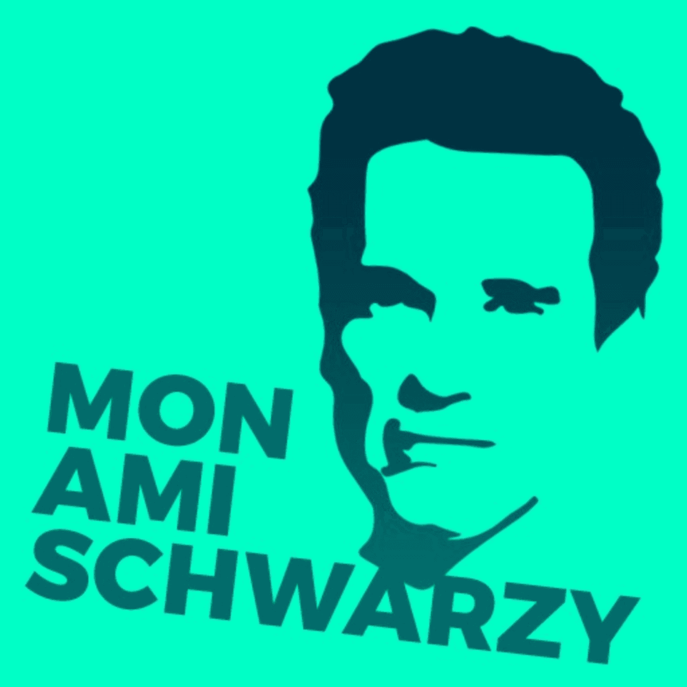 https://www.vodio.fr/images/logos1400/1682059275_mon-ami-schwarzy_monsieurseries.png