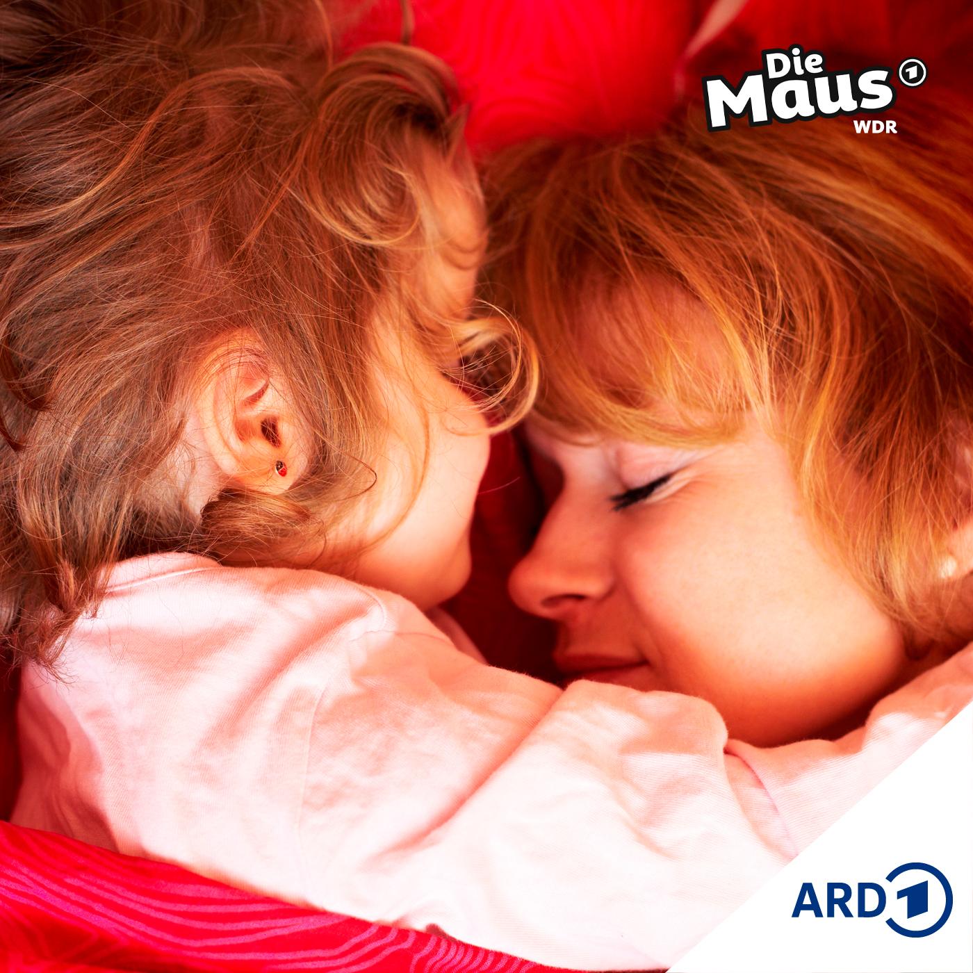 https://www1.wdr.de/mediathek/audio/sendereihen-bilder/maus-176~_v-Podcast.jpg