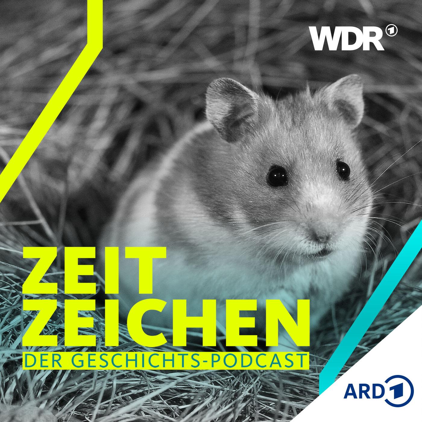 https://www1.wdr.de/mediathek/audio/sendereihen-bilder/zeitzeichen-goldhamster-100~_v-Podcast.jpg
