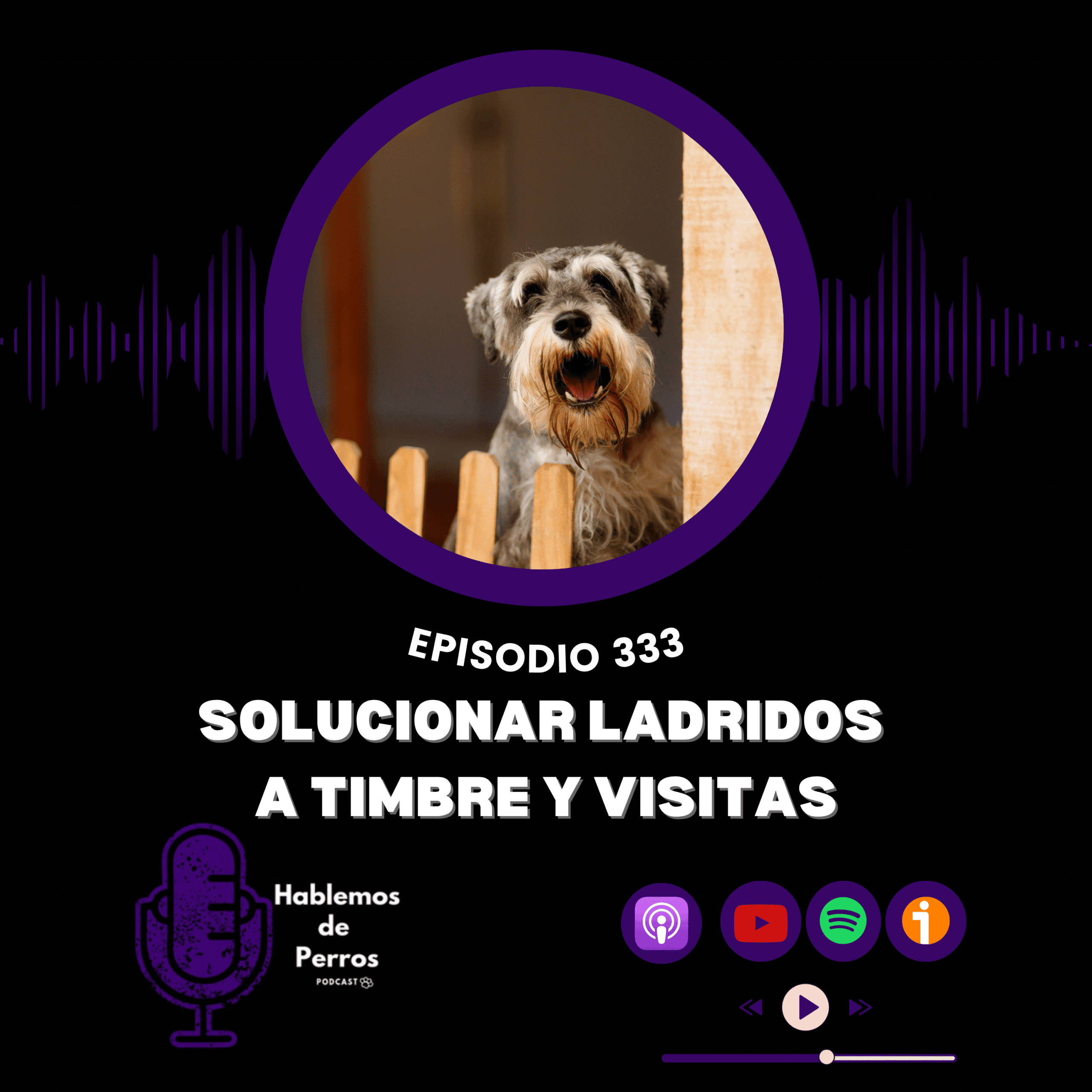 https://xilas.es/wp-content/uploads/2025/06/ladridos-perro-cober-333-scaled.png