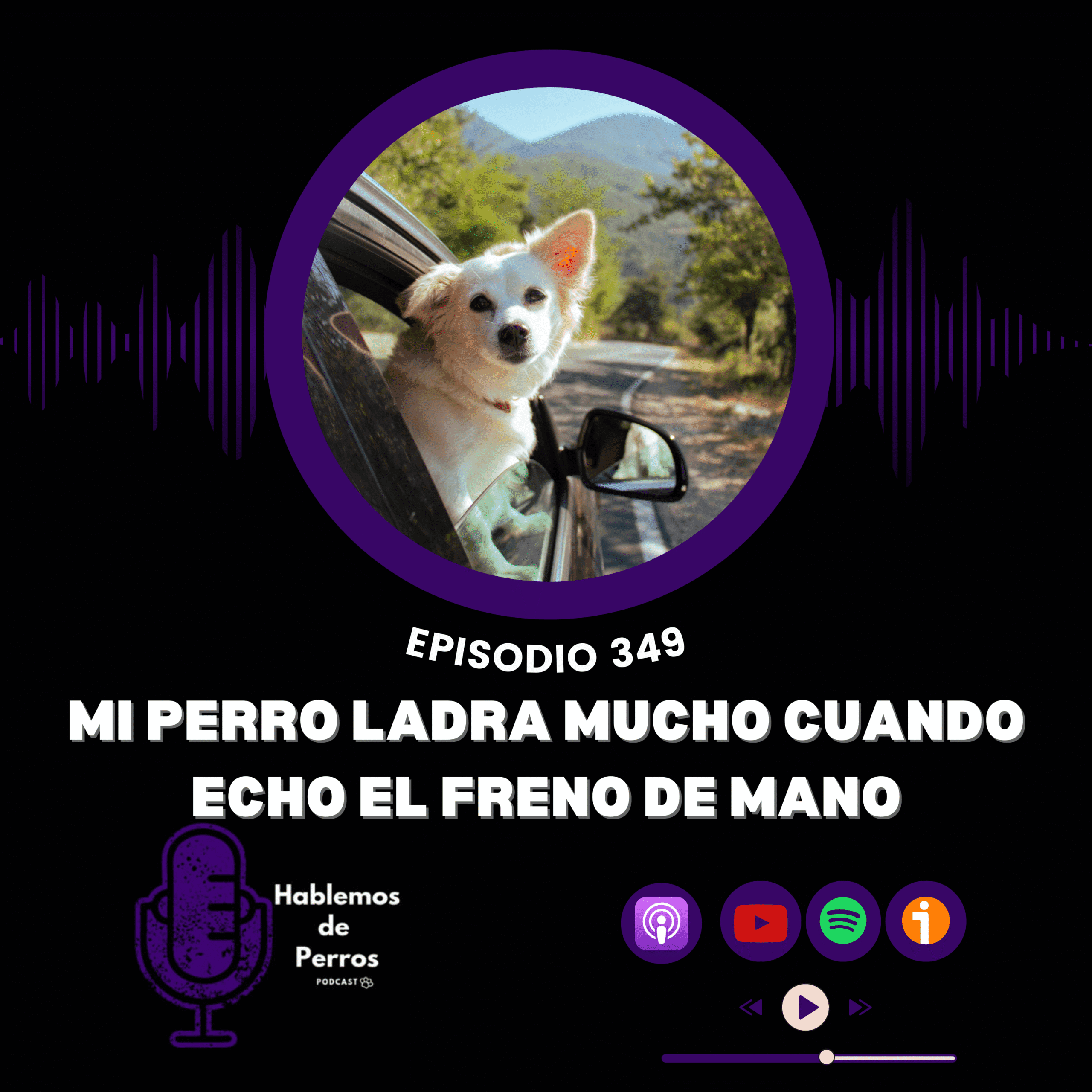 https://xilas.es/wp-content/uploads/2025/09/episodio-cover-349-scaled.png