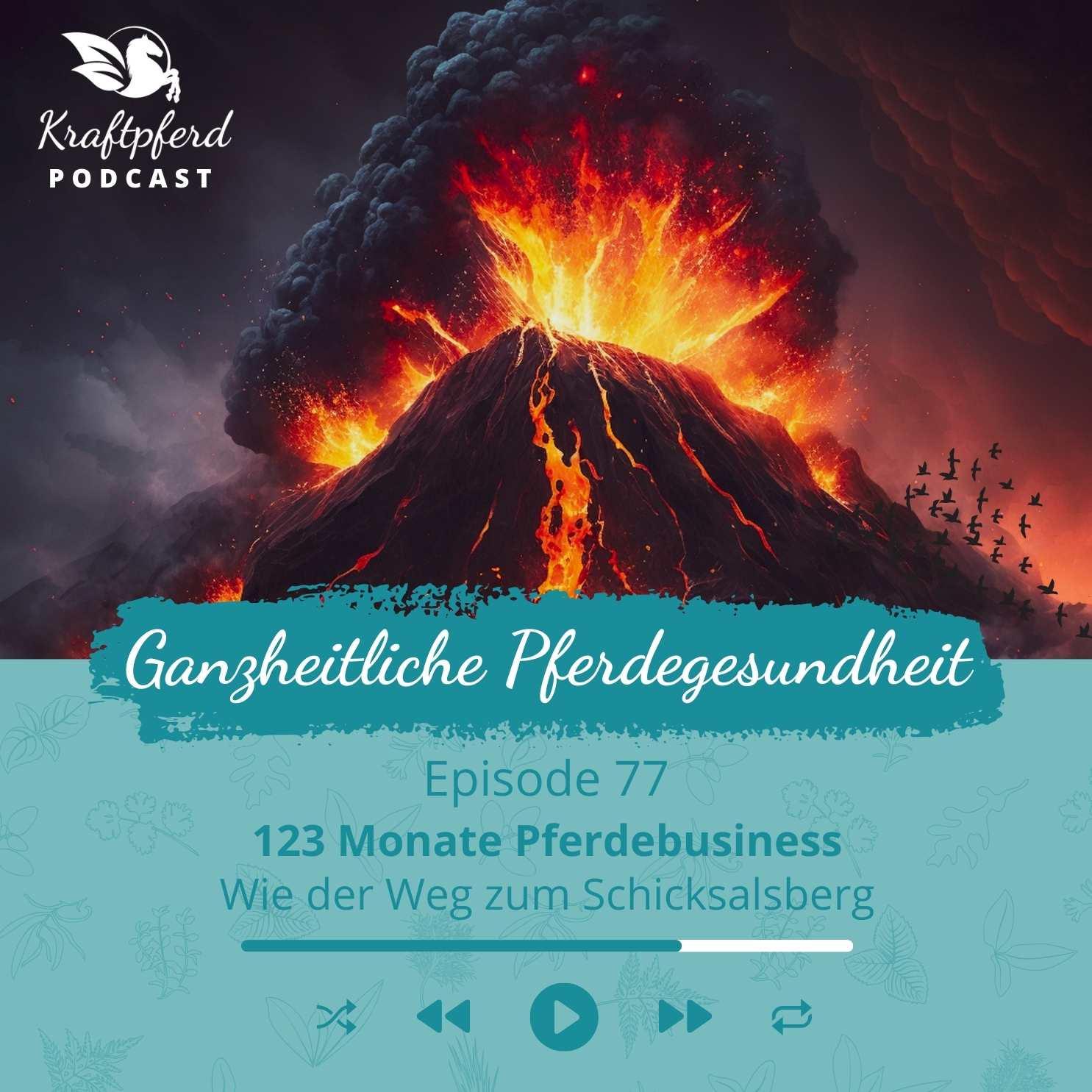 https://zef1ld.podcaster.de/kraftpferd/logos/Podcast-77-123MonatePferdebusiness.jpg