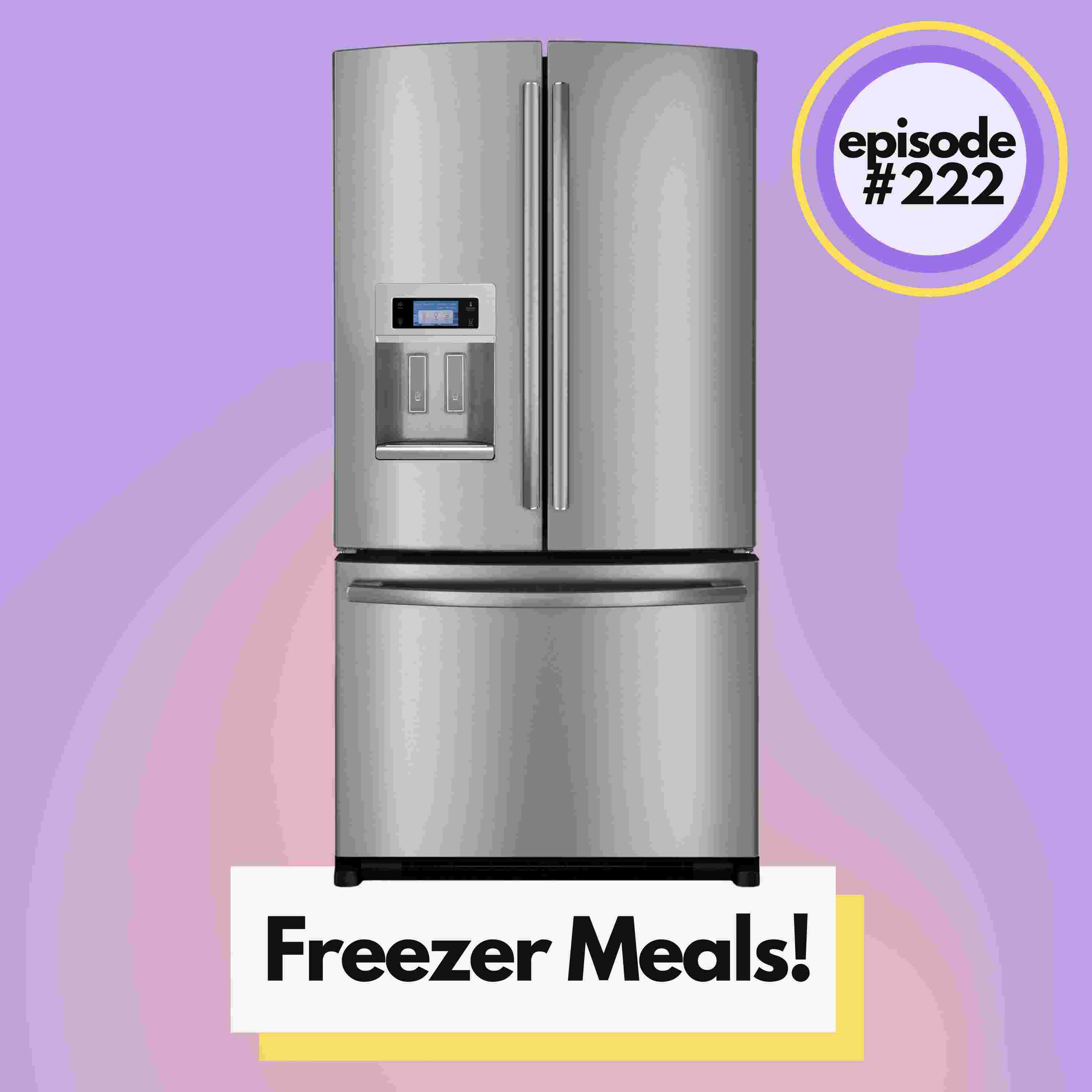 https://artwork.captivate.fm/208f46b0-3afc-4089-96b3-b94eb947af90/Freezer-meals.jpg