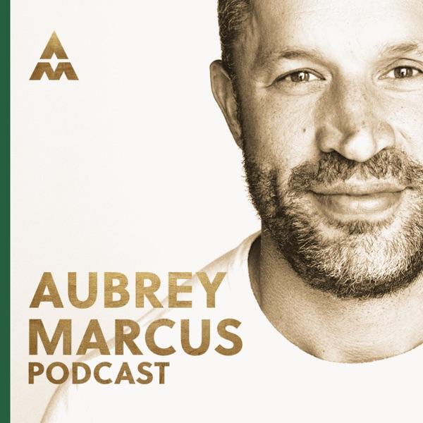 https://is1-ssl.mzstatic.com/image/thumb/Podcasts221/v4/33/5e/d9/335ed9c8-f6e0-4643-0f45-5ce3ed7852fd/mza_9640779902039371093.jpg/600x600bb.jpg