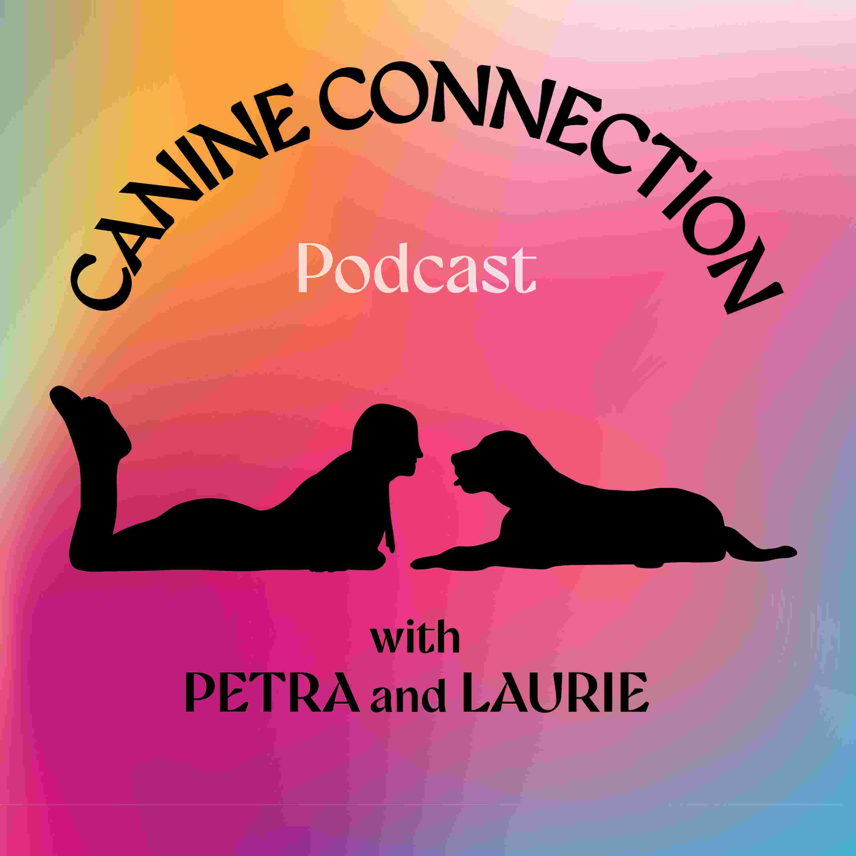 https://media.rss.com/canine-connection-podcast/ep_cover_20251018_091025_764576d54a31e6d0eb2fdc689efc02a1.jpg