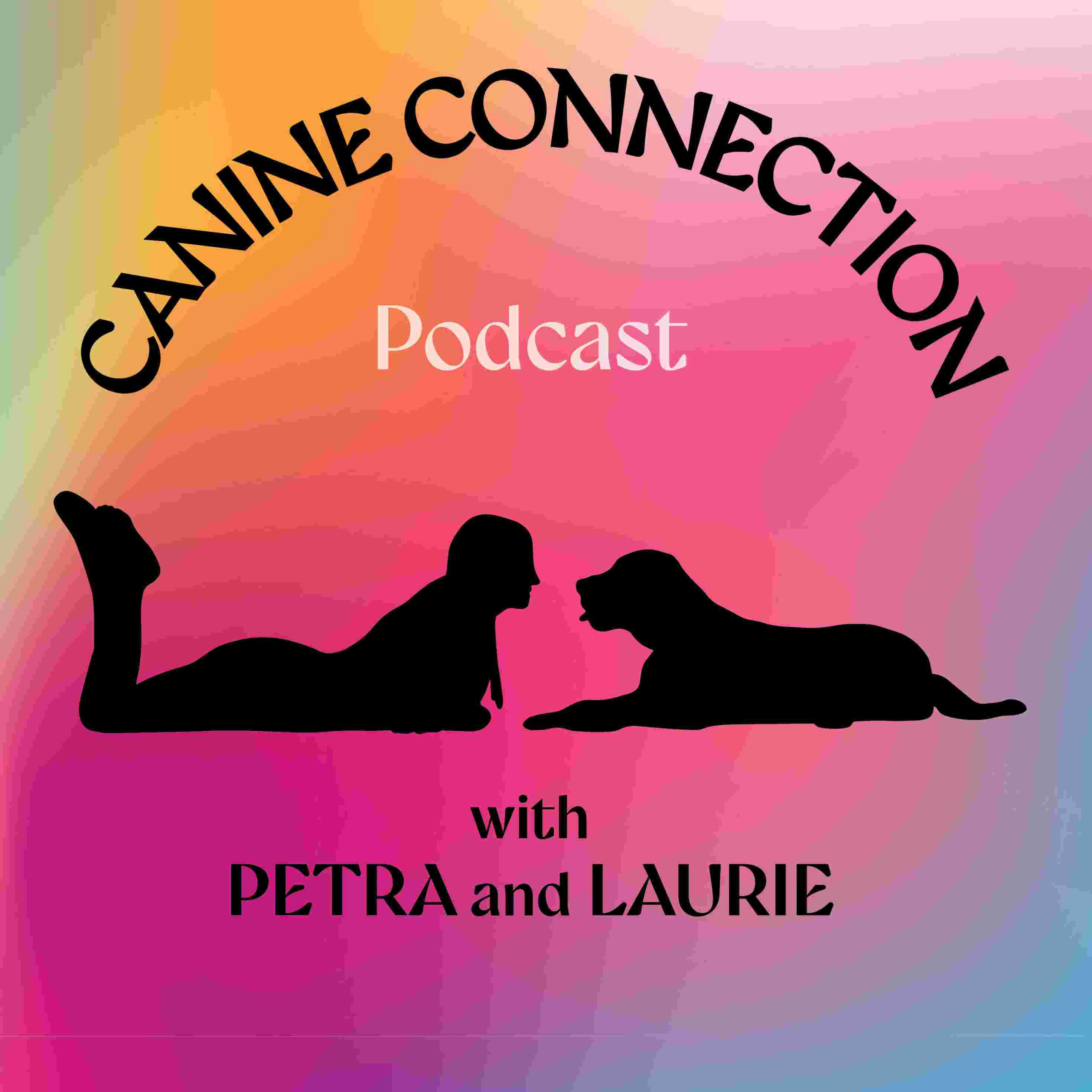 https://media.rss.com/canine-connection-podcast/ep_cover_20251119_121114_837b7a54ac546182536acffc7a5a6084.jpg
