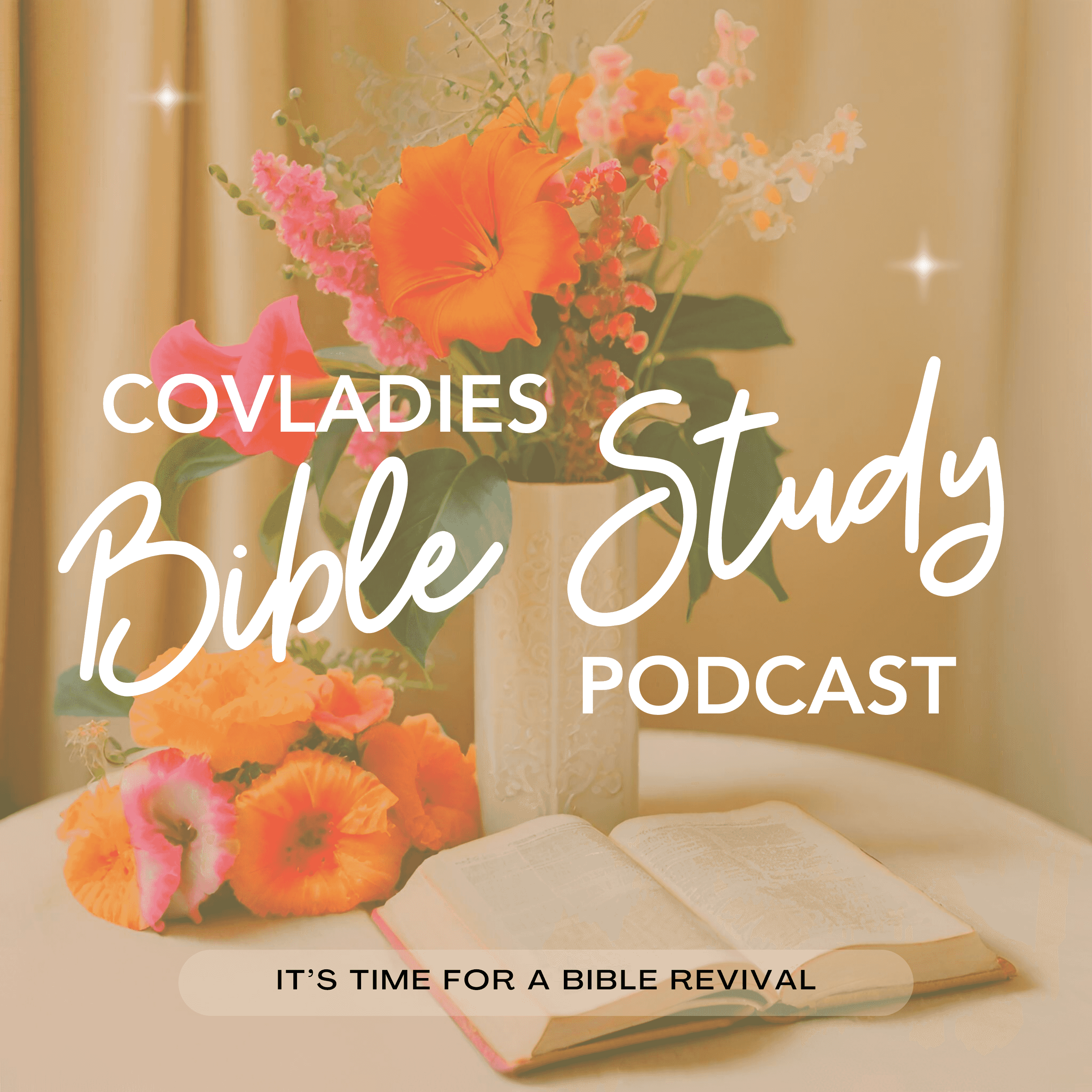 https://media.rss.com/covladies-biblestudy/ep_cover_20241030_051039_3169ee3577fa43cbfeb648a81bf5ec08.png