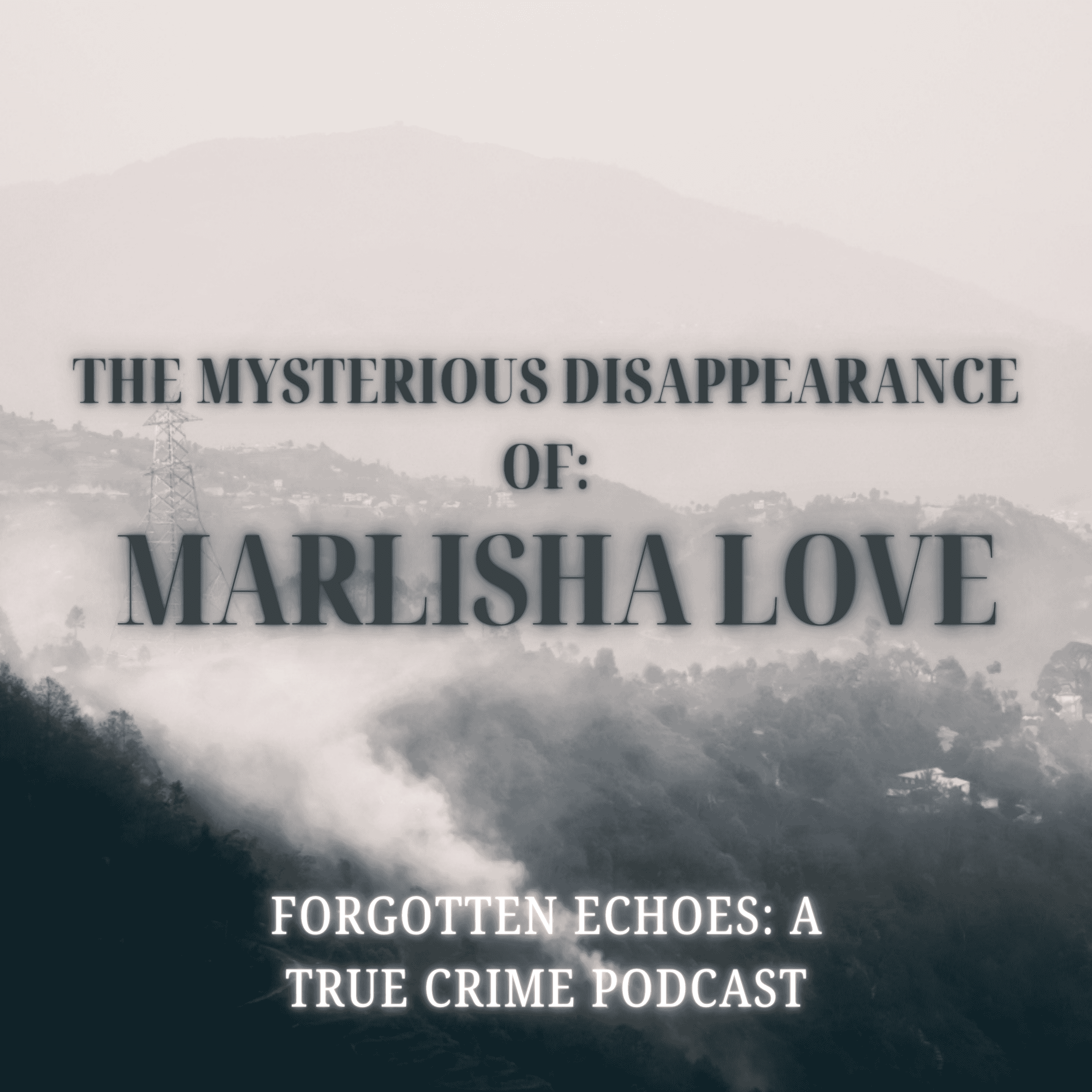 https://media.rss.com/forgotten-echoes-a-true-crime-podcast/ep_cover_20250502_080546_5fc91b88137016cd1330f5ad978c11e9.png