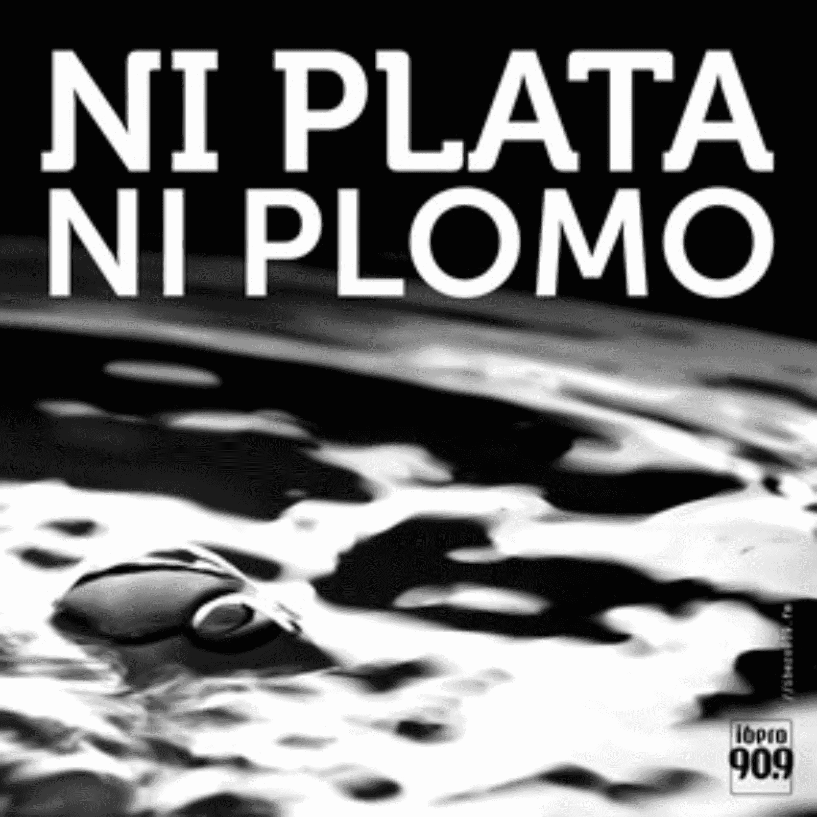 https://media.rss.com/ni-plata-ni-plomo/ep_cover_20250827_080837_974dc549d8c758eab63bd410334df102.png