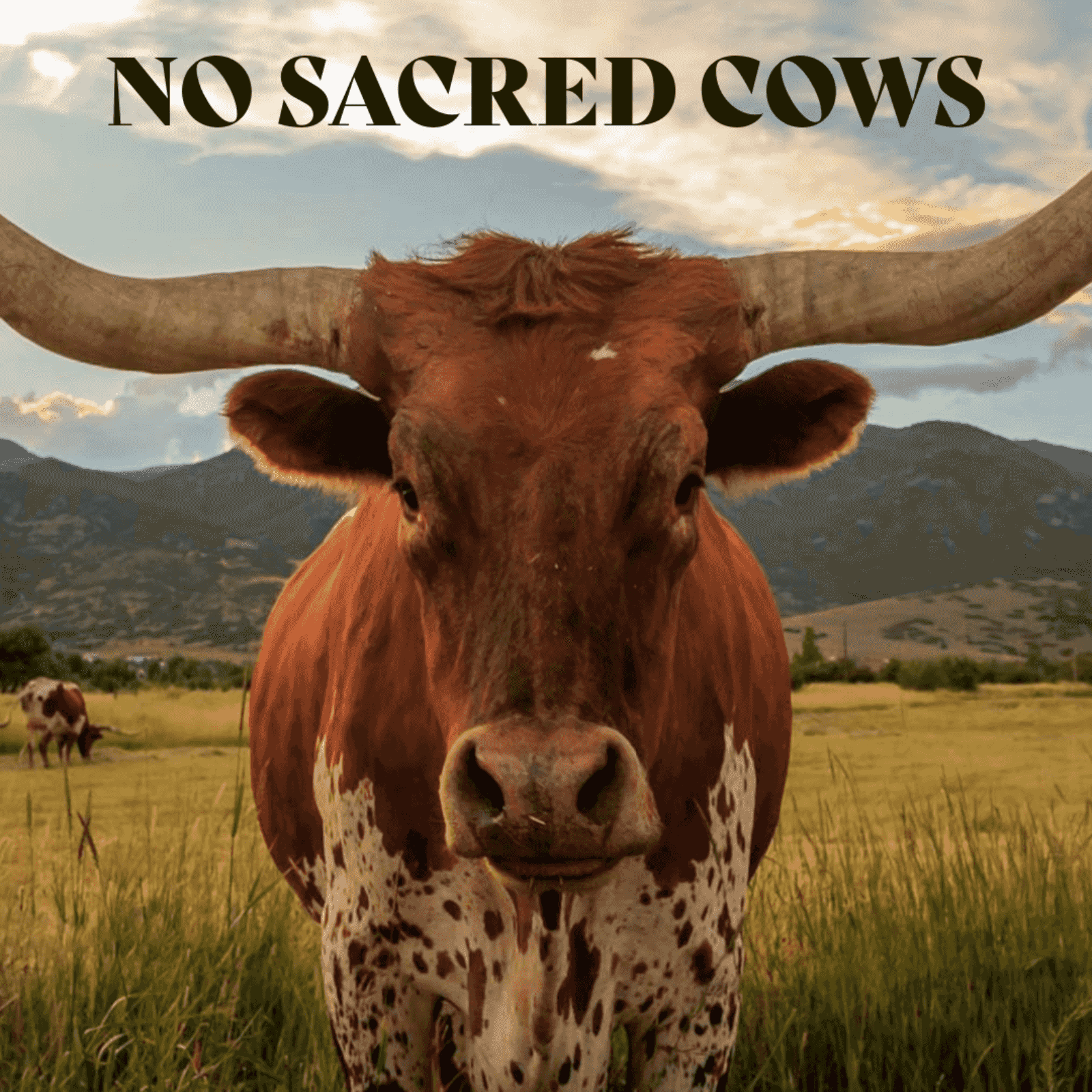 https://media.rss.com/no-sacred-cows/ep_cover_20251020_011040_25e89df924aef6f4bd987cf782e5acf7.png