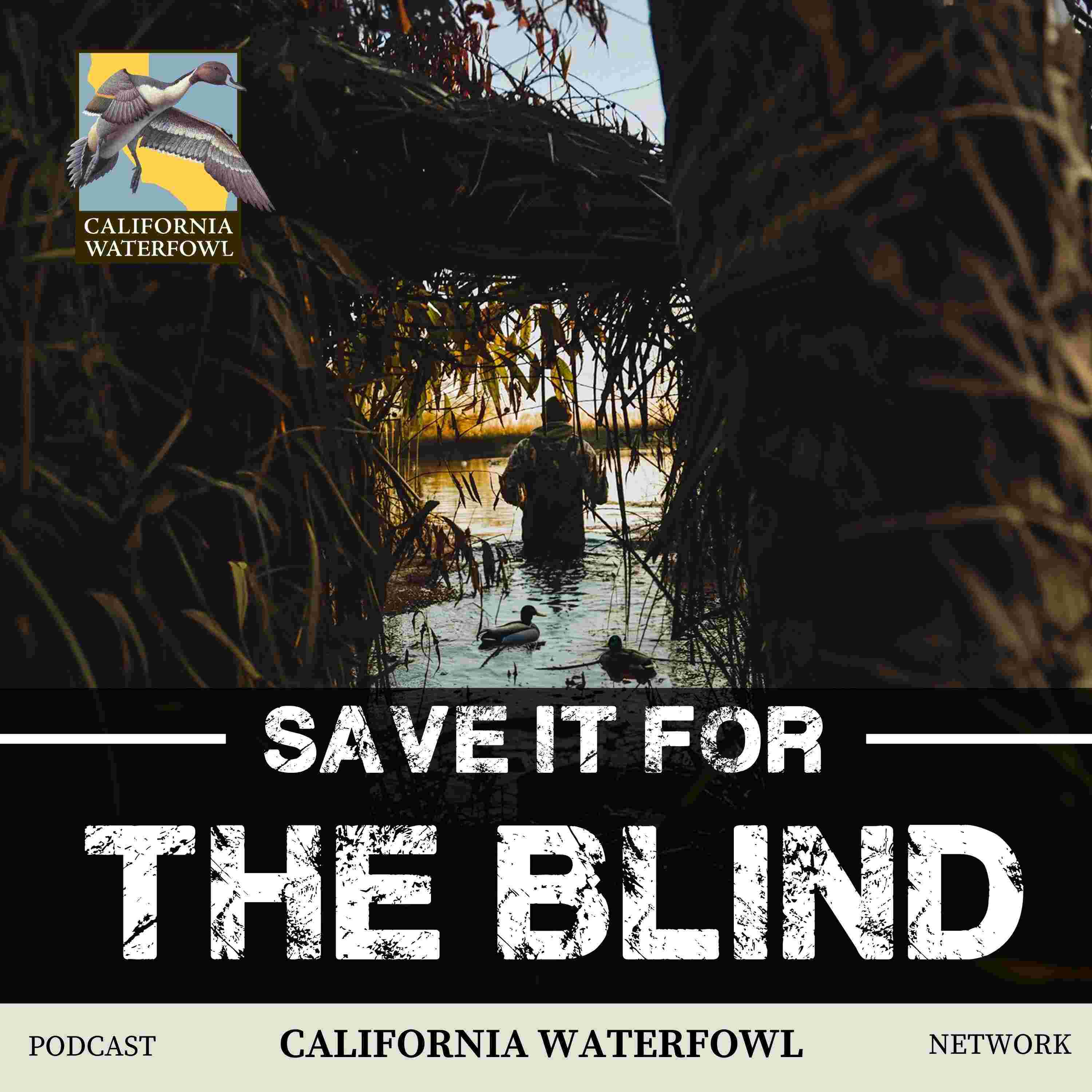 https://media.rss.com/saveitfortheblindpodcast/ep_cover_20250721_080751_7aefcfb1ac0a1ecf9cc04150956fc06a.jpg