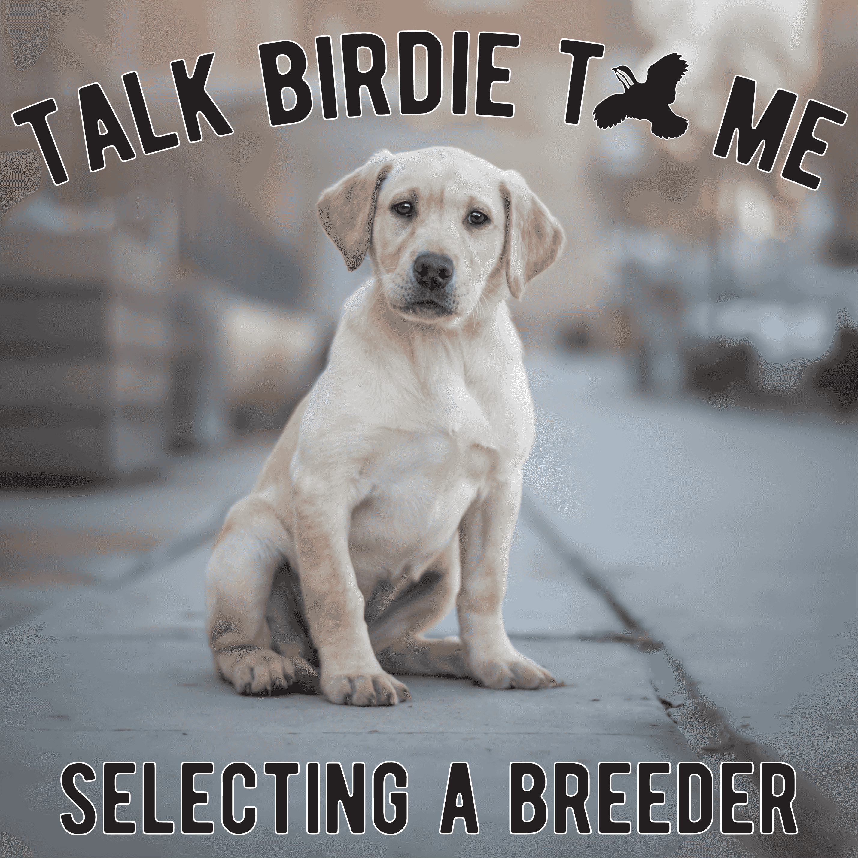 https://media.rss.com/talkbirdietome-1/ep_cover_20241023_041025_051f89d25da0bb5c4c440fb3b4188fda.png