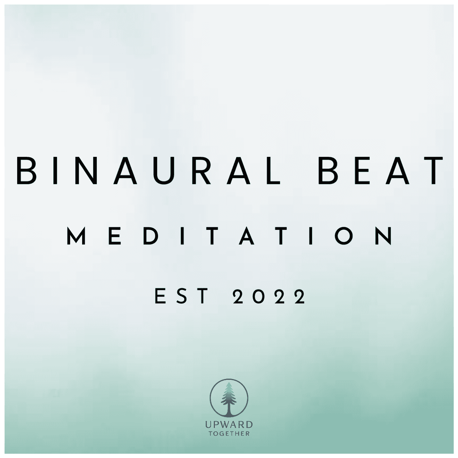 https://media.rss.com/the-binaural-beat-podcast/ep_cover_20251109_071114_93fb6c672d3b81002692ceeb488bc0e6.png