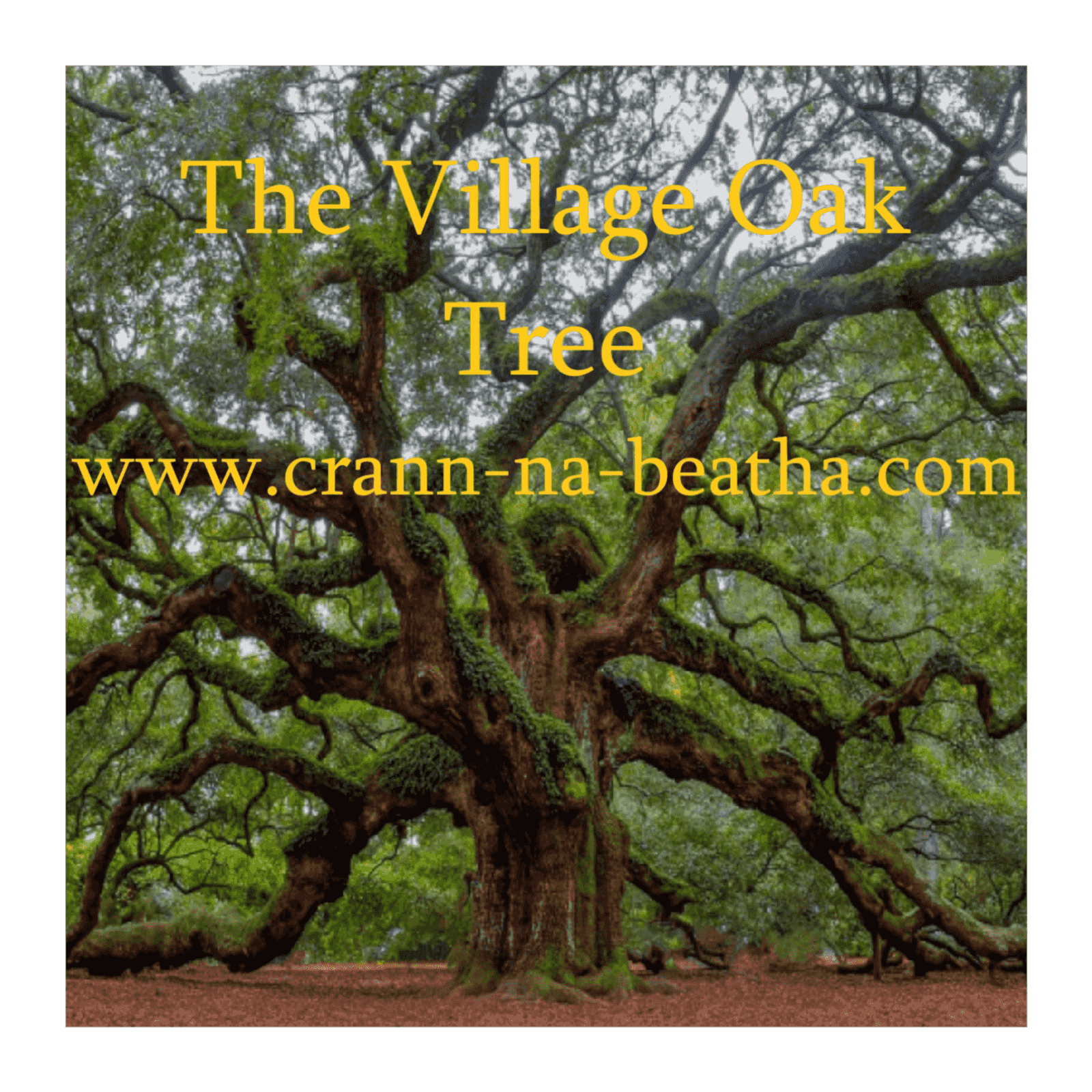 https://media.rss.com/the-village-oak-tree/ep_cover_20250827_080812_03aeda93cf4d6912743553fb081f9156.png
