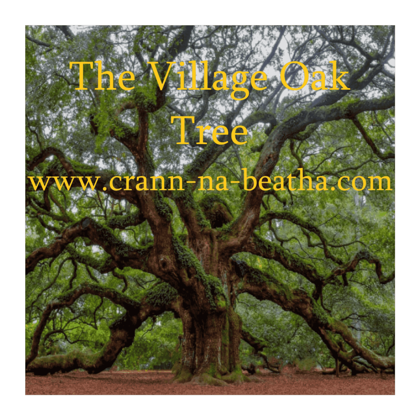 https://media.rss.com/the-village-oak-tree/ep_cover_20250910_050935_0c456c49aa88a70d8bb507a5dc527635.png