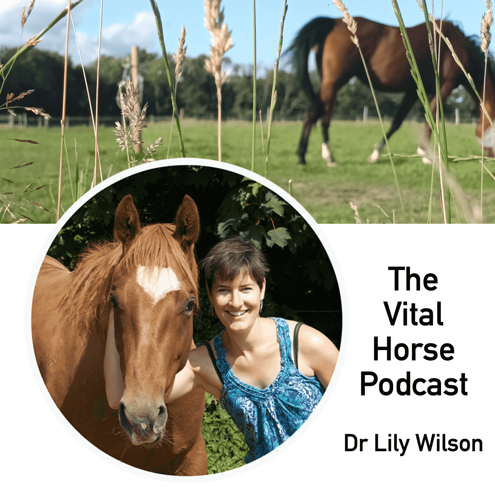 https://media.rss.com/the-vital-horse-podcast/ep_cover_20250604_010609_c88fe4ae7f413939422704b37609c71c.png