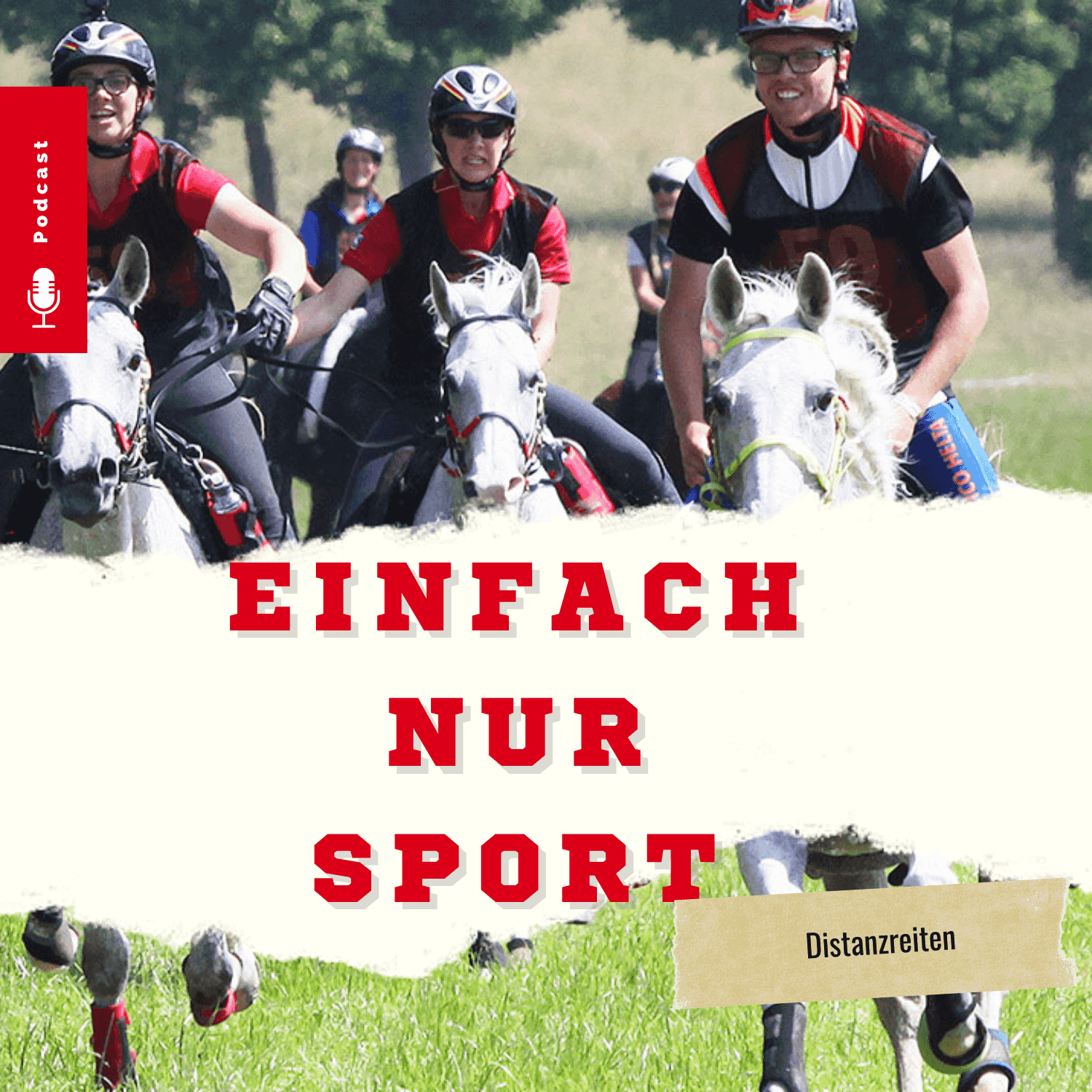 https://meinsportpodcast.de/wp-content/uploads/biginsports-podcast/Cover/2023/09/11/Distanzreiten.png